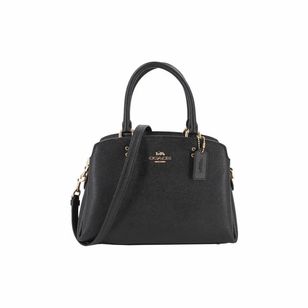🖤Mini Lillie Carryall